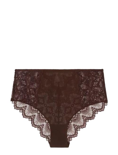 Lace Mesh Highwaist Briefs Understatement Underwear Brown
