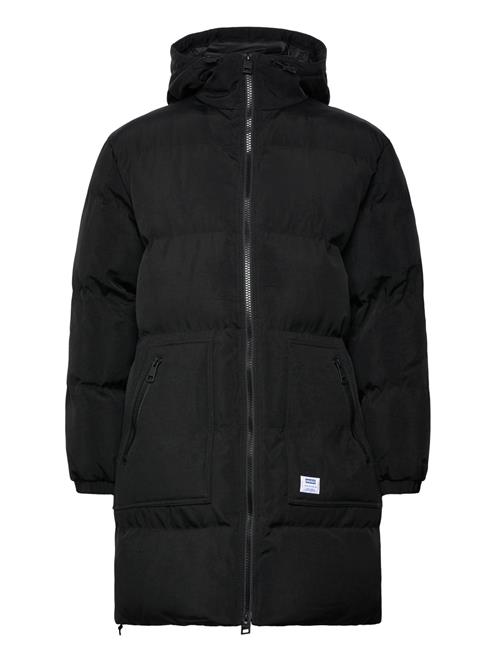 Brooky2441 HUGO BLUE Black