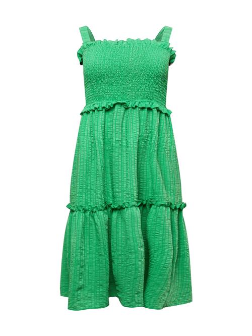 Nasty Gal Plus Sommerkjole  æble