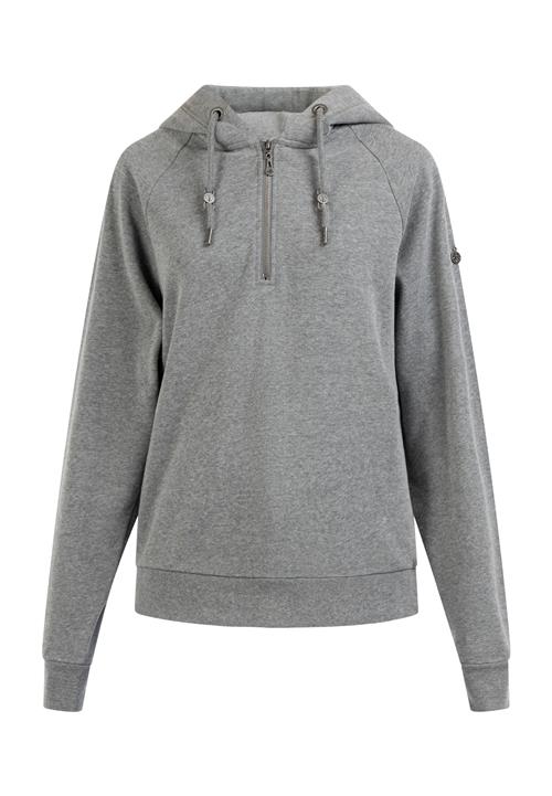 DreiMaster Vintage Sweatshirt 'Takelage'  grå-meleret