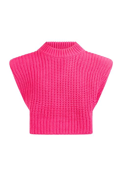 Se MYMO Pullover  pink ved About You