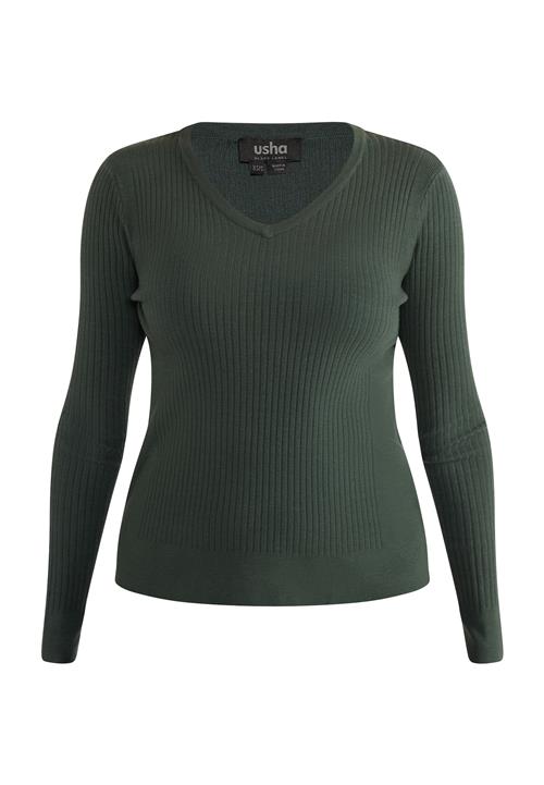 usha BLACK LABEL Pullover 'Nowles'  mørkegrøn
