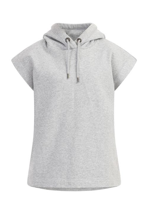 DreiMaster Vintage Sweatshirt  grå-meleret