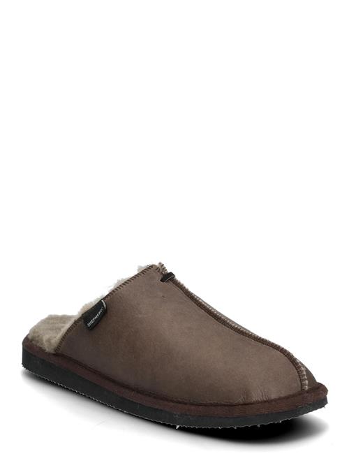 Hugo Tofflor Shepherd Brown