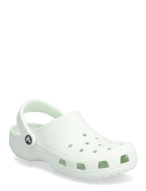 Classic Crocs Green