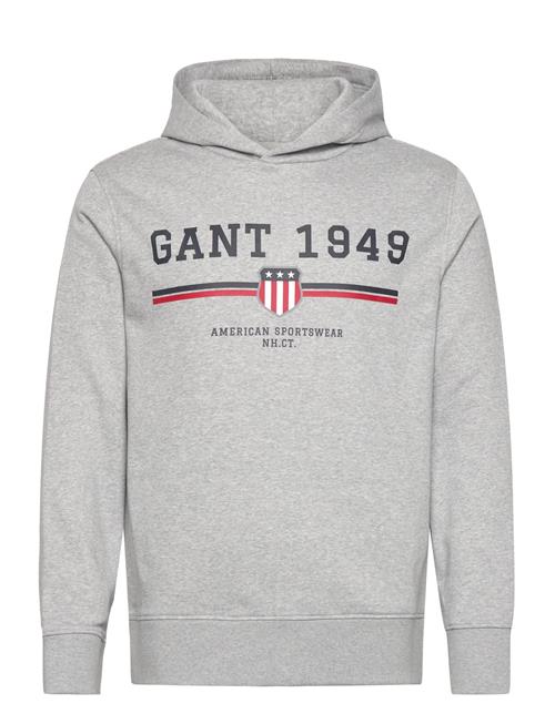 Graphic Hoodie GANT Grey