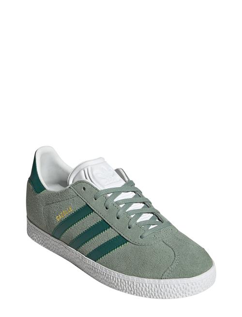 Gazelle J Adidas Originals Green