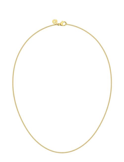 Curb Chain Mini 42 Cm Gold Edblad Gold