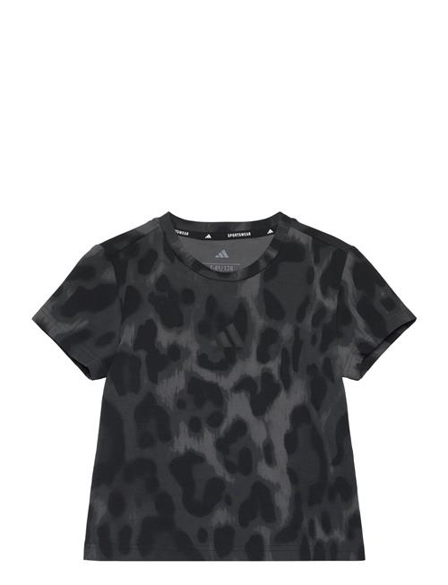 Jg Fi Aop T Adidas Sportswear Grey