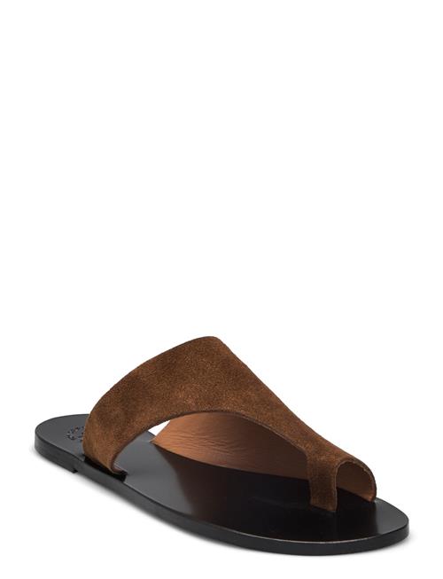 Rosa Cannella Suede ATP Atelier Brown