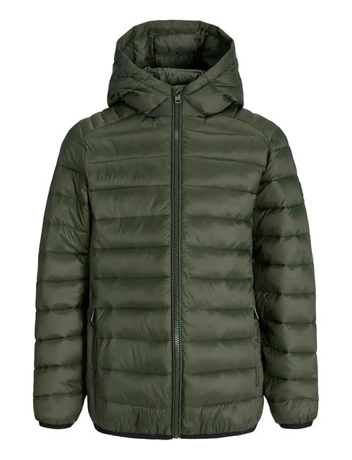 Jack & Jones Jjebradley Light Puffer Hood Jnr Jack & J S Khaki