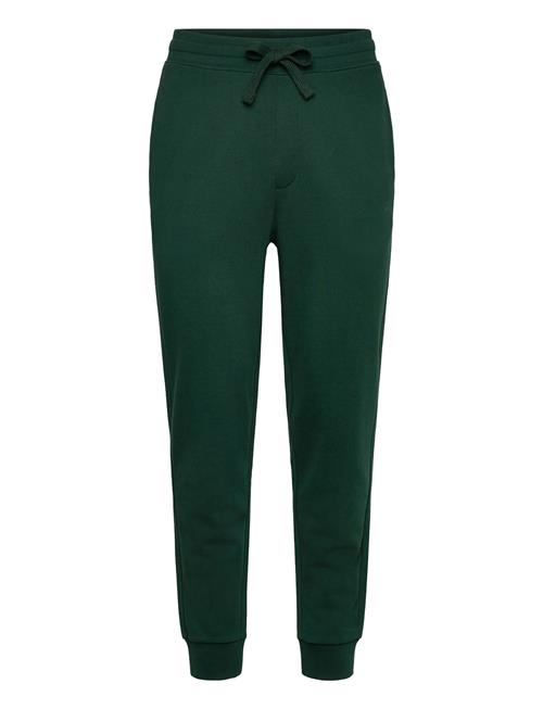 Dayote232 HUGO Green