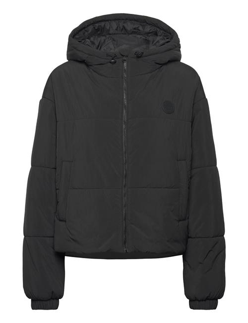 Freya-1_B HUGO BLUE Black