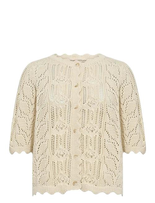 Sc-Perry Soyaconcept Cream