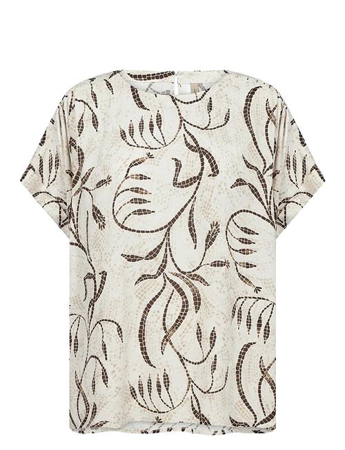 Sc-Sabira Soyaconcept Cream