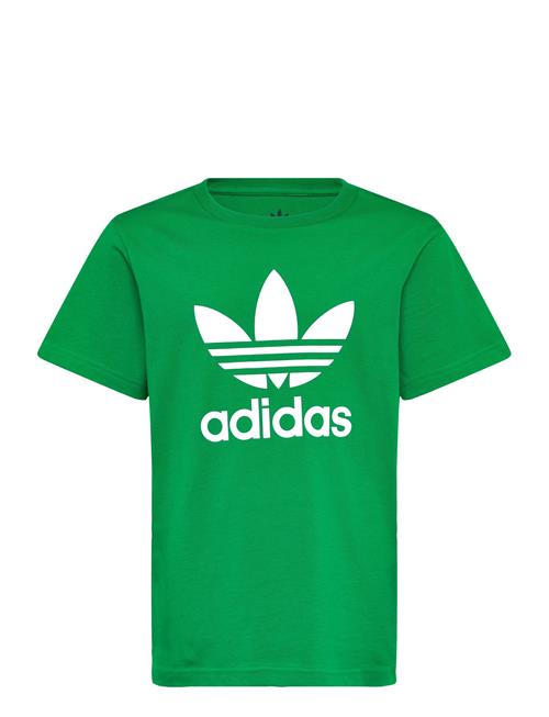 Trefoil Tee Adidas Originals Green