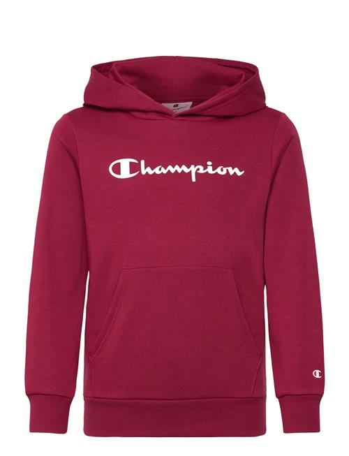 Hooded Sweatshirt Champion Burgundy