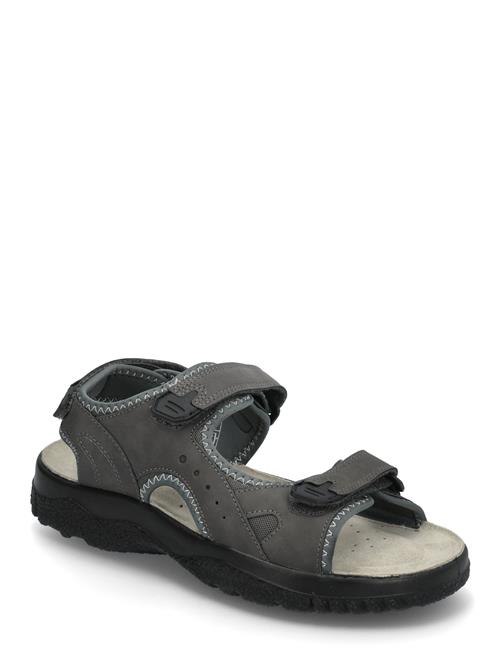 Loop Marstrand Sandal Brun 44 Marstrand Grey