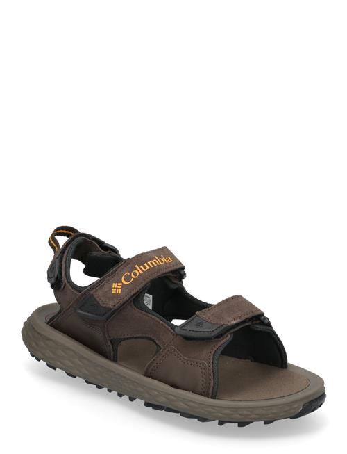 Konos Hiker 3-Strap Columbia Sportswear Brown