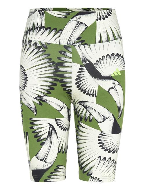 Farm Bike Short Adidas Sportswear Green