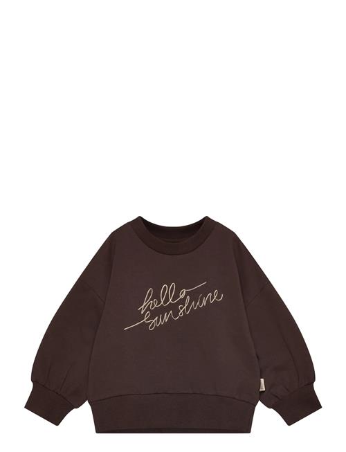 Ppdina Sweat Shirt Petit Piao Brown