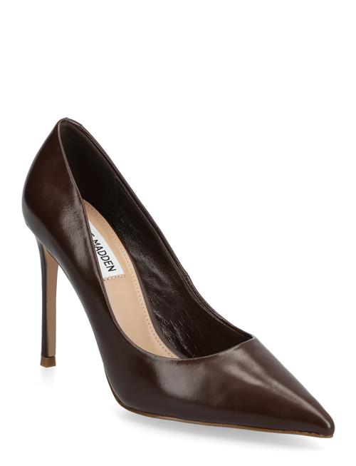 Thrive Steve Madden Brown