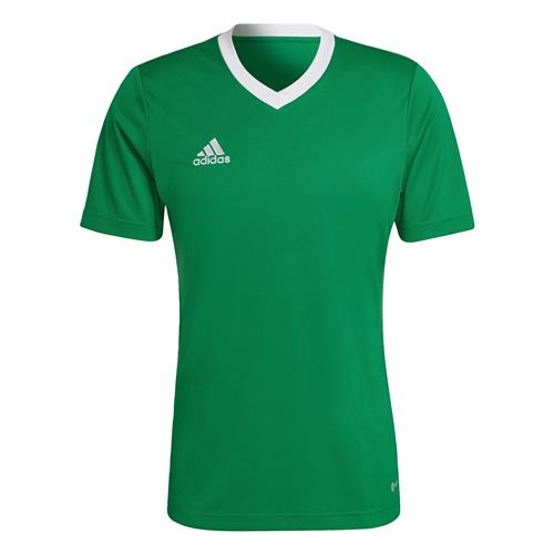 ADIDAS PERFORMANCE Funktionsskjorte 'Entrada 22'  græsgrøn / hvid
