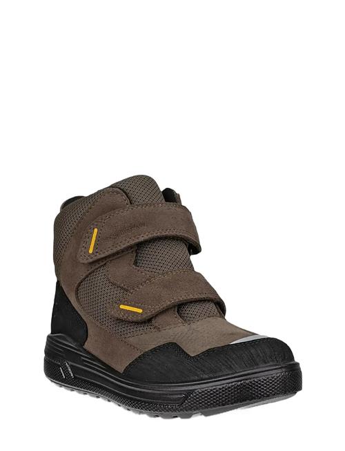 Urban Snowboarder ECCO Brown