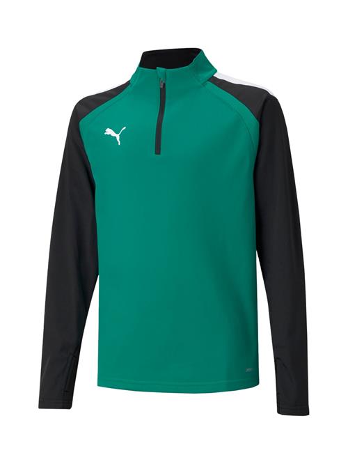 PUMA Funktionsskjorte 'TeamLiga 14'  grøn / sort