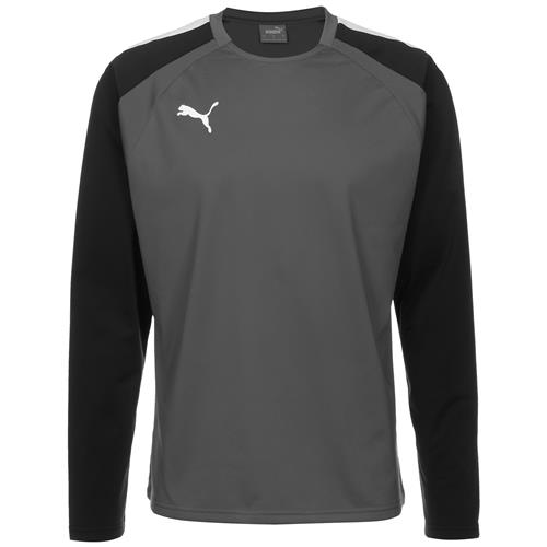 PUMA Funktionsskjorte 'Team Liga'  mørkegrå / sort