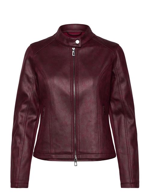 Basic Desigual Burgundy