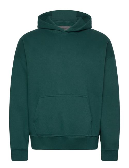 Anf Mens Sweatshirts Abercrombie & Fitch Green