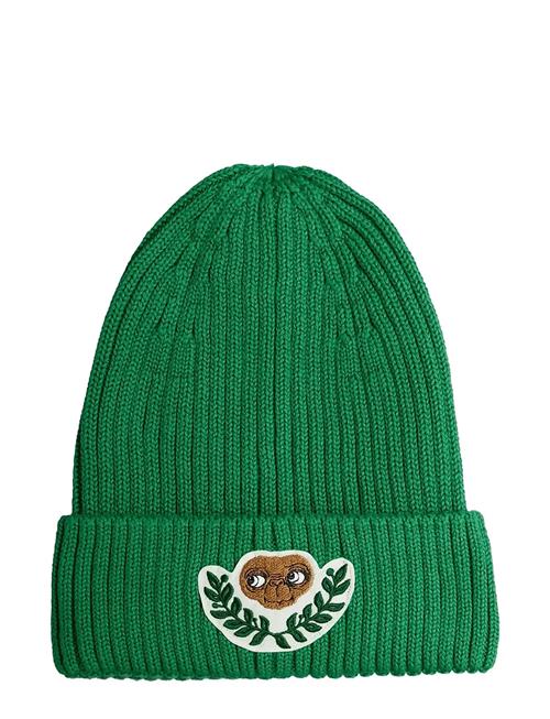 E.t Patch Knitted Rib Fold Up Hat Mini Rodini Green