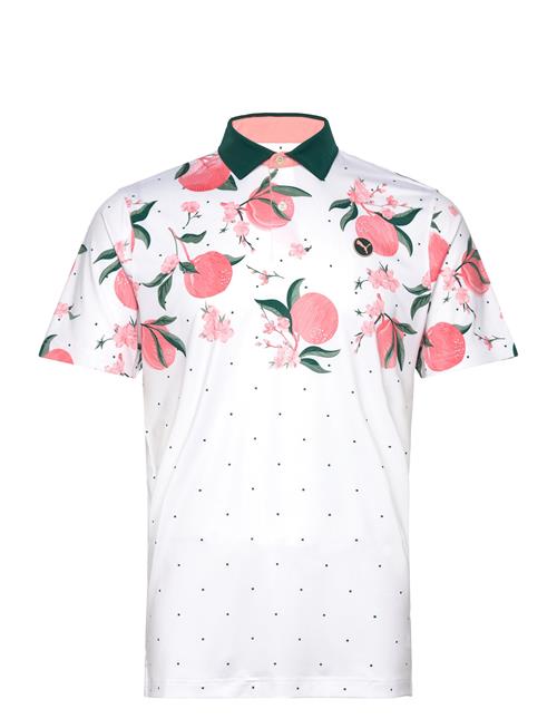 Mattr Freshly Picked Polo - Lc PUMA Golf White