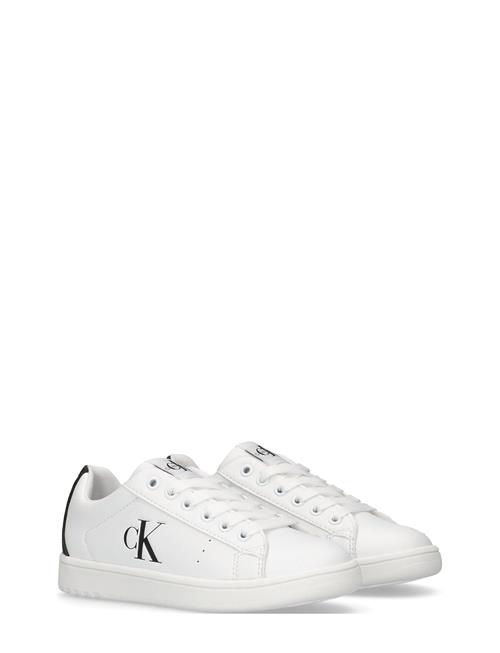 Kids Low Cut Lace-Up Sneaker Calvin Klein White