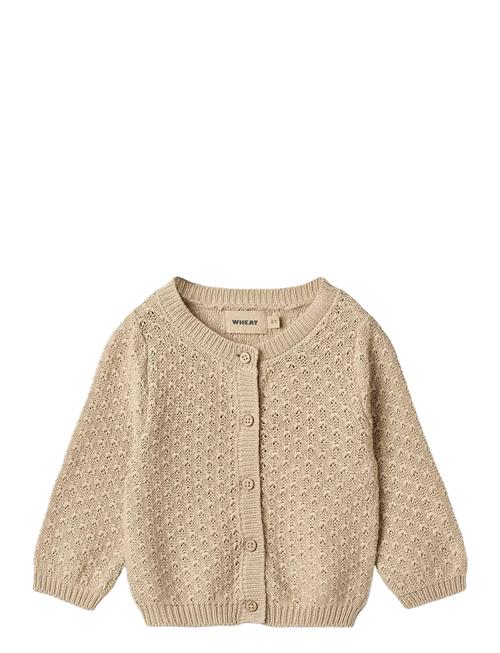 Knit Cardigan Magnella Wheat Cream