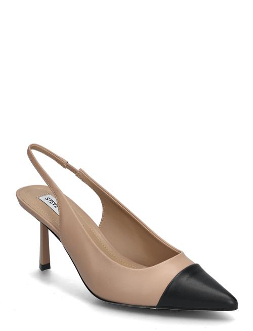 Kling Sandal Steve Madden Beige