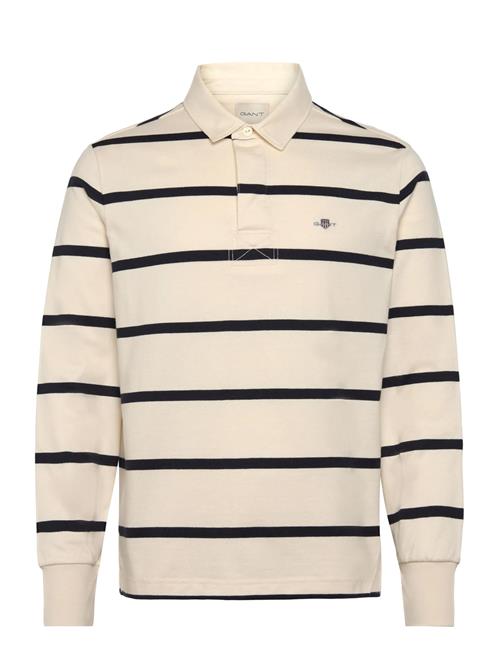 Thin Stripe Heavy Rugger GANT Cream
