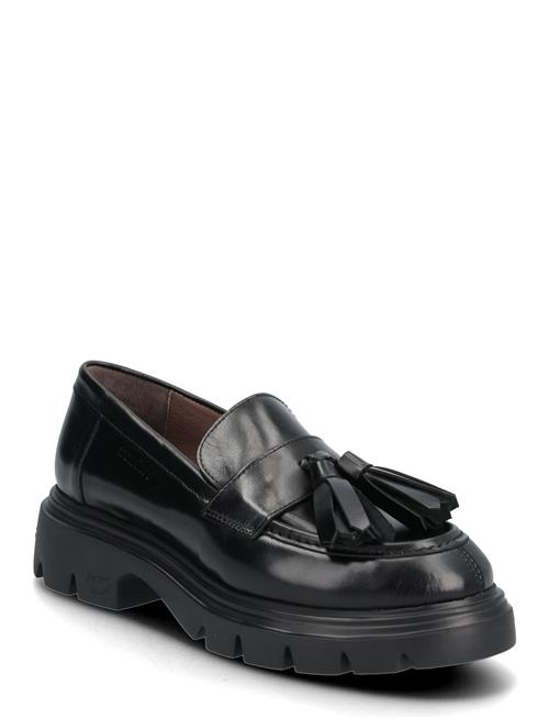 B S 03 Wonders Black