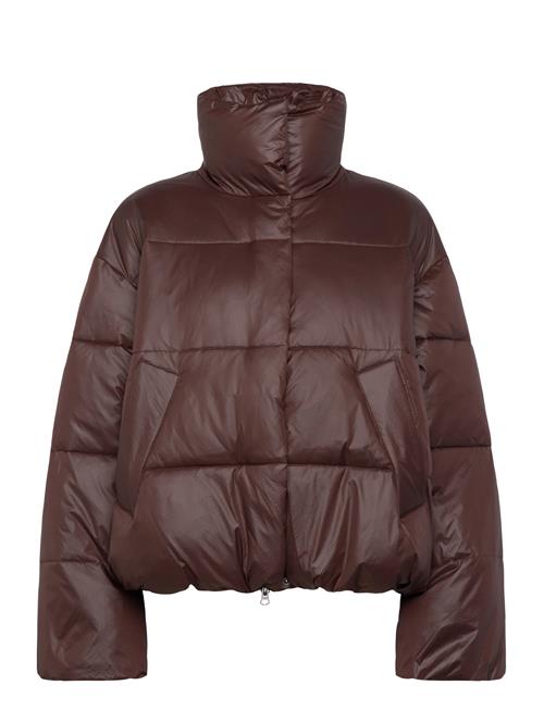 Seraphina-M MbyM Brown