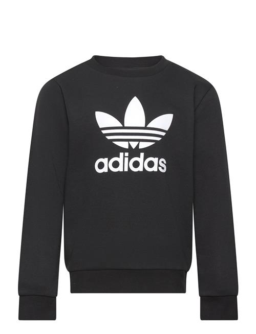 Trefoil Crew Adidas Originals Black