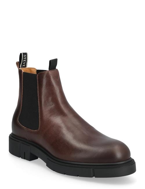 Cashville U Brown Sneaky Steve Brown