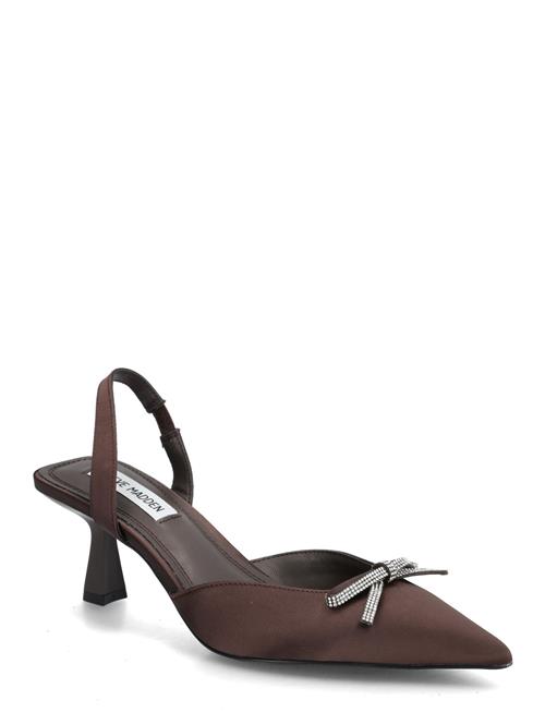 Ander Steve Madden Brown