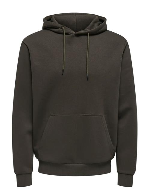 Onsceres Hoodie Sweat Noos ONLY & SONS Brown