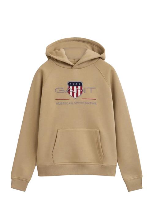 Archive Shield Hoodie GANT Khaki