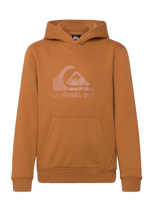 Comp Logo Hoodie Youth Quiksilver Brown
