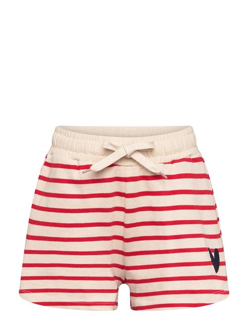 Tnnil Shorts The New Cream