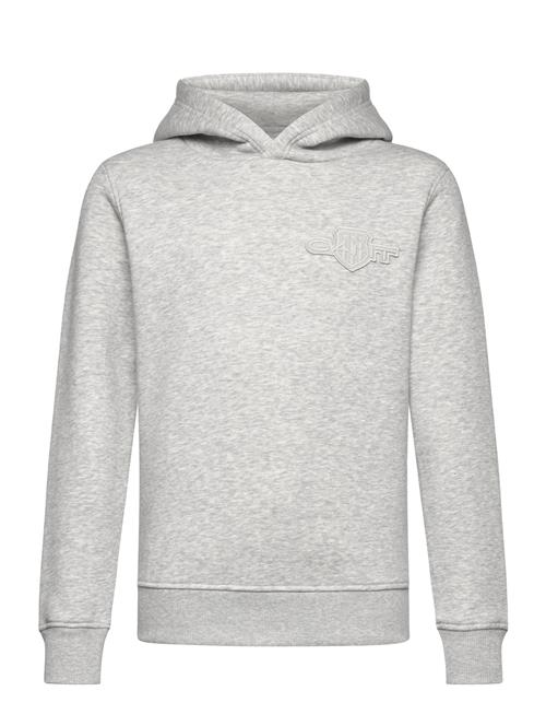 Tonal As Hoodie GANT Grey
