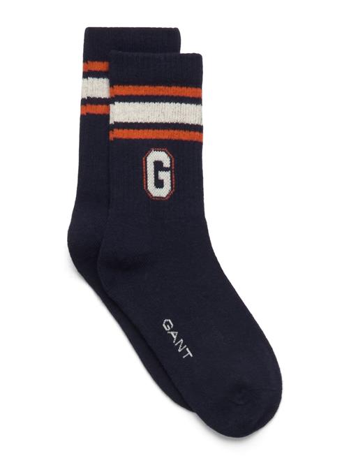 Graphic Socks GANT Navy
