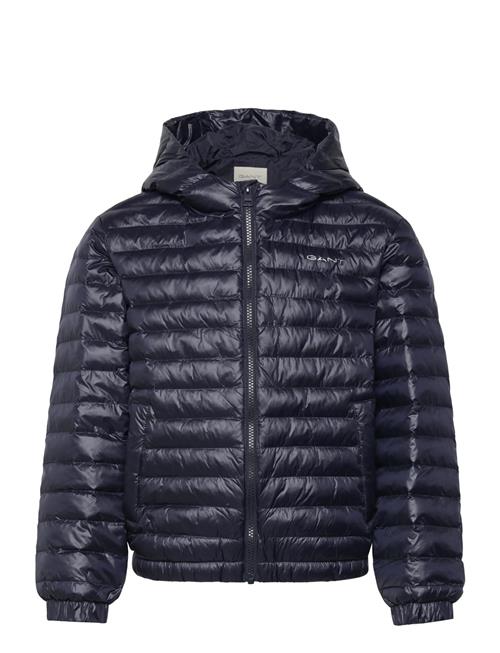 Shiny Light Padded Jacket GANT Navy